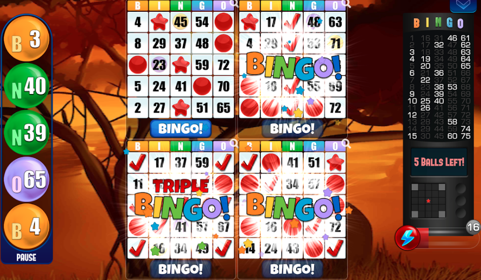 bingo Free download