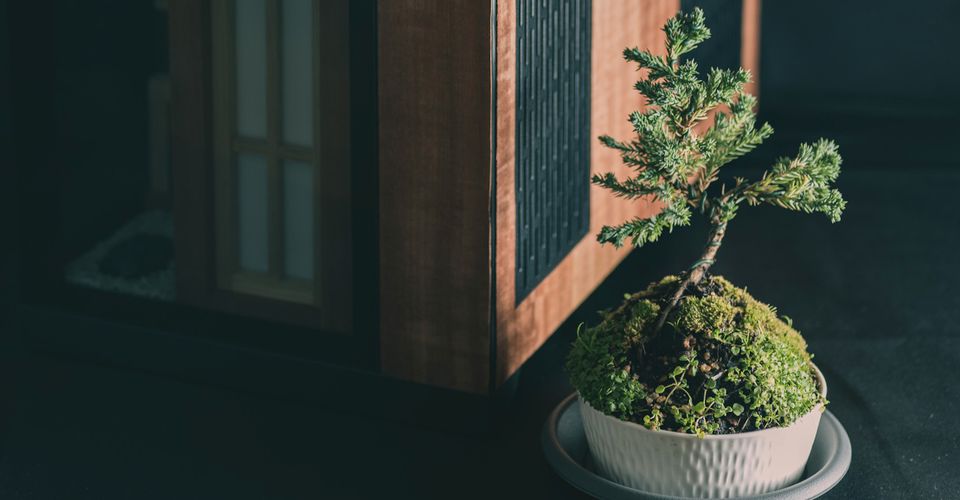 AMD-Inspired Zen Computer Comes With its Own Bonsai